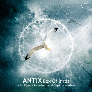 Box of Birds (Djuma Soundsystem Remix)