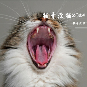 不由己（不认命版）-原唱：陈彼得；Cover：猫哥没猫