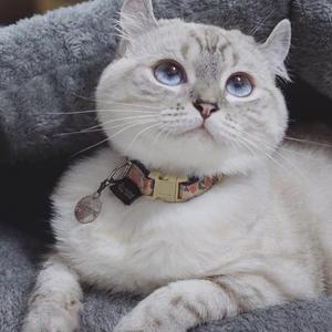 なんでもないや.Guitar ver（Cover RADWIMPS）