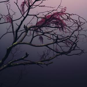 Daydream