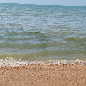 爱江山更爱美人