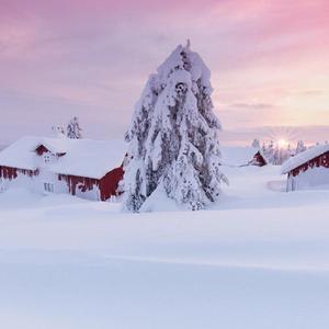 烟火与告白（钢琴曲）