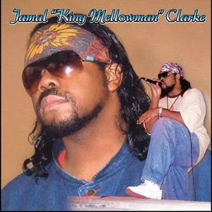 I Won't Bother You No More