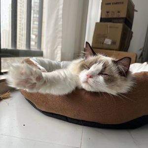 我一个人住啊（Prod by EVO MUSIC）