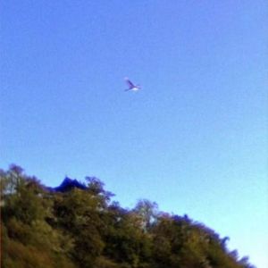 Sky(Slowed + Reverb)