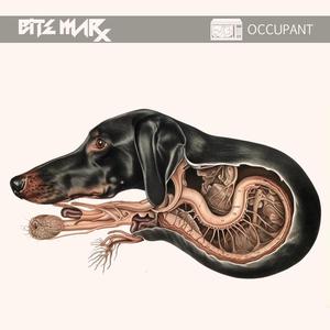 Occupant