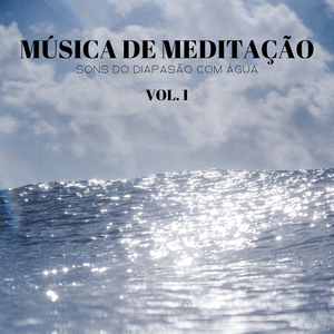 Meditação Respiratória