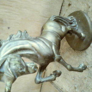 Puti Puti Puti Vaqueros