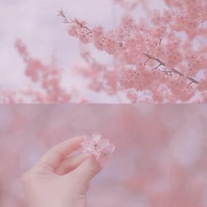 风的话（翻自 陈卓璇）