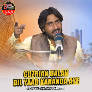 Guzrian Galan Dil Yaad Karanda Aye (1)