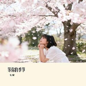 等你的季节
