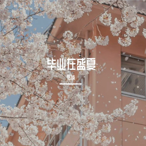 毕业在盛夏 伴奏