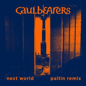 Next World (feat. Paltin) (Paltin Remix)