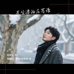 半生漂泊在等谁