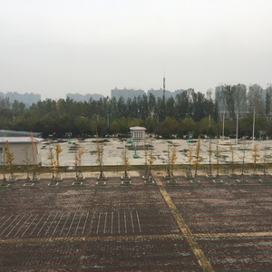 i don't wanna be in you