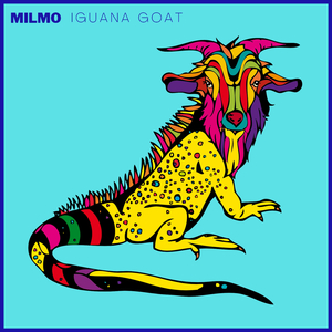 Iguana Goat