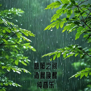 NO.8 鸟叫森林虫鸣夏天轻音乐