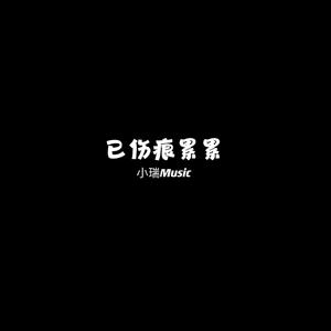 刺猬（DJ小瑞版）