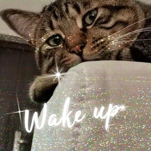 Wake up