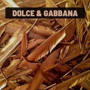 Dolce Gabbana