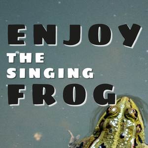 Frog Sounds
