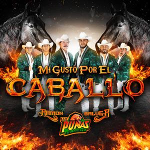 Mi Gusto Por el Caballo