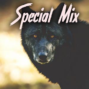 Ersoy Ulubey Special Mix