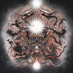 Dissolved in Spiritus