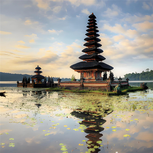 心里藏着不甘的泪