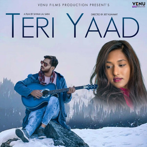 Teri Yaad