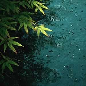 Water From Bamboo Forest