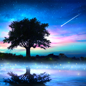 Terraの恵み ～ 心が落ち着く、瞑想・ヨガ・リラックス用ヒーリングミュージック ～