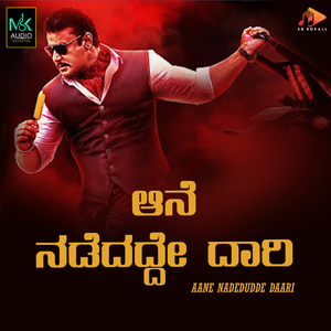 Aane Nadedudde Daari