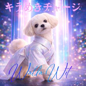 ドキドキ・ナイト (Doki Doki Night)