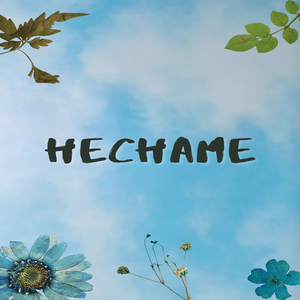 Hechame