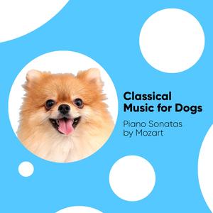 Piano Sonata No. 16 in C Major, K. 545: II. Andante