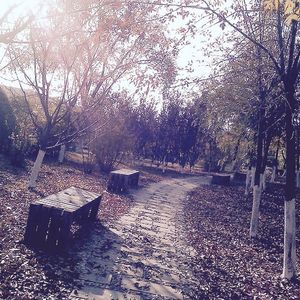 起风了（十孔口琴）（翻自 高橋優）