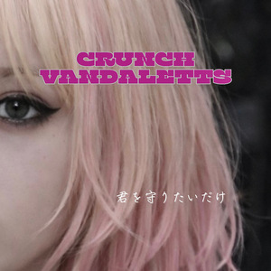 君を守りたいだけ