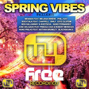 Virginn (Jose Delgado 2015 Edit Extended)