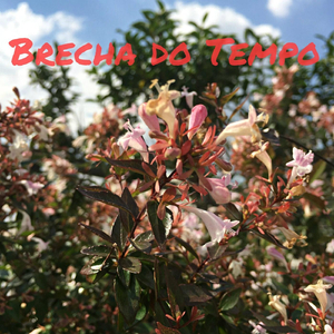 Brecha do Tempo