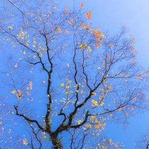 丢掉了才有云淡风轻的机会