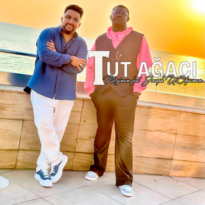 Tut Ağacı