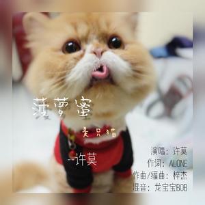 菠萝蜜是只猫