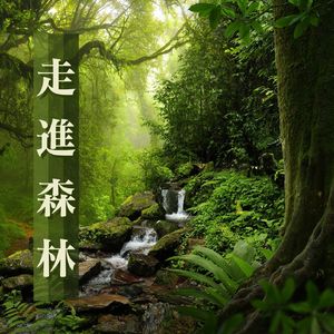 暴风雨过后的平静