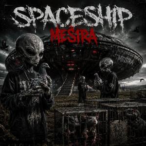 Spaceship