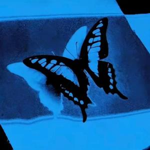 自我保护夏意识正当防卫机制·种种不称心诚心入法眼过度厌心有杆镜秤明眼高贵法·客服马屁舔猫模式应有尽有