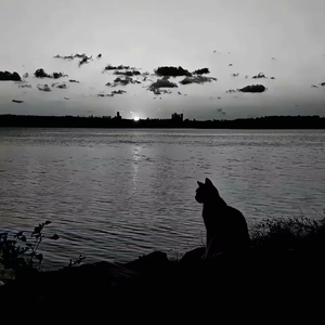 无名的人  毛不易