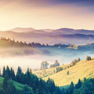 平湖秋月 养生音乐抚心安神