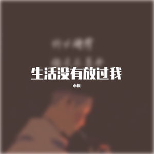 生活没有放过我 伴奏