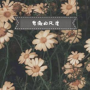风度（深情女声弹唱）
